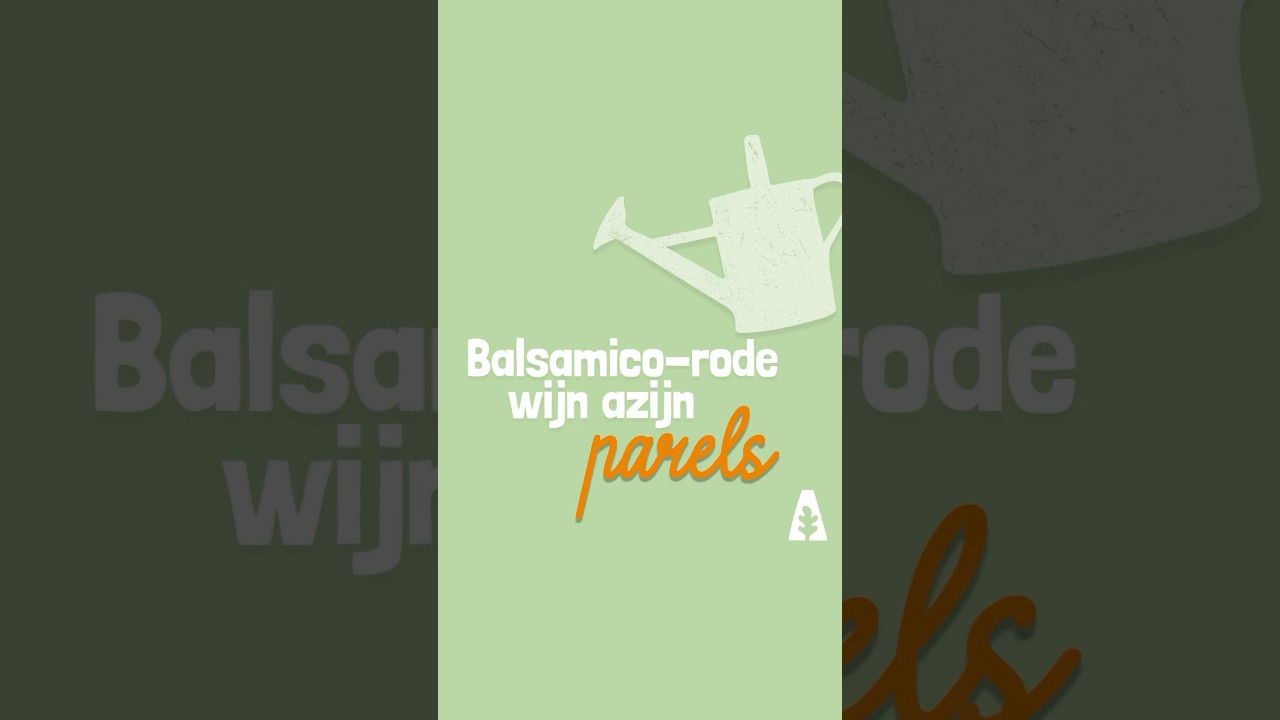 Stadstuinieren - Balsamico-rode wijnazijn parels #recept #diy #shorts