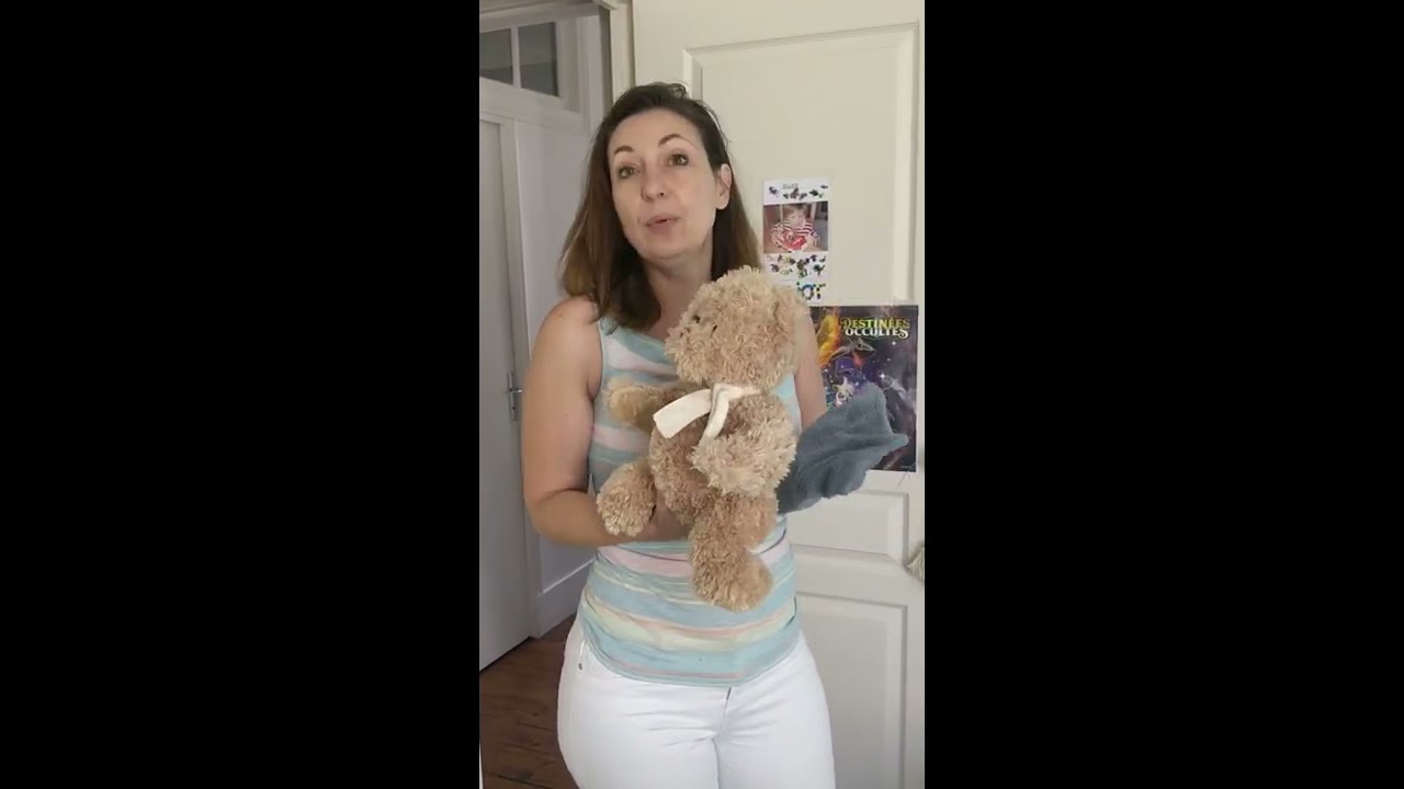 Vapodil ou comment nettoyer les peluches, les jouets et assainir l'air