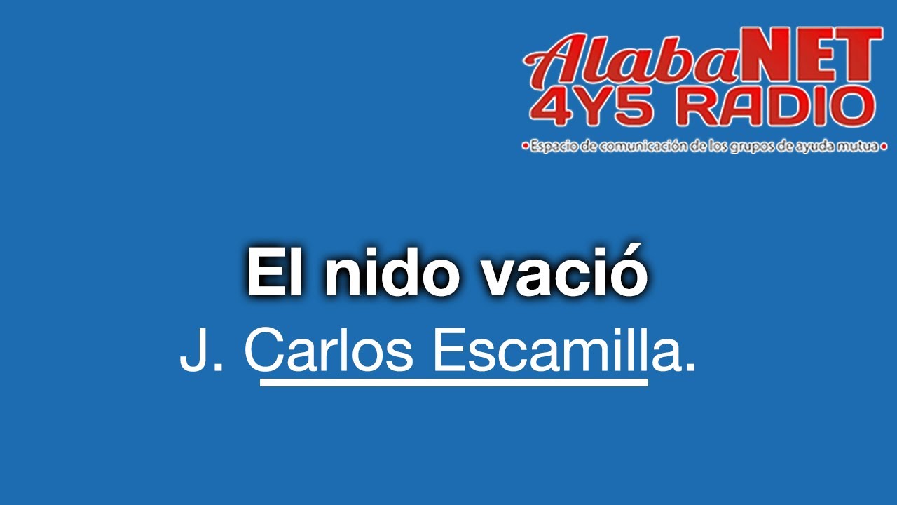 El Nido Vacío: Navegando por la Transición de Vida'