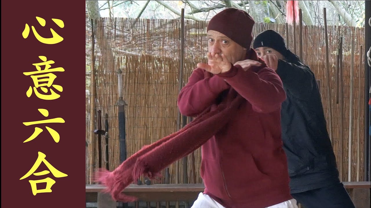 心意六合拳 XIN YI LIU HE Змея 02