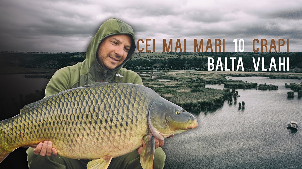 Cei mai mari 10 crapi - Balta Vlahi