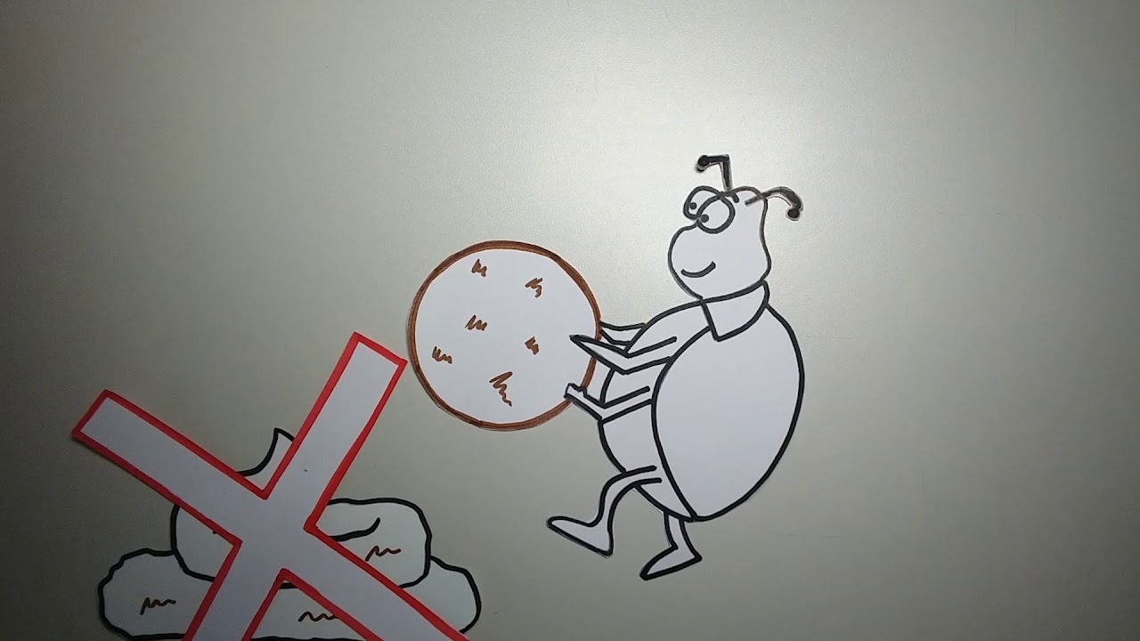 Erkl&auml;rfilm 