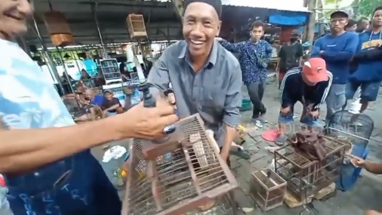Suasana Asli Pasar Burung Depok Solo | Banyak Pilihan