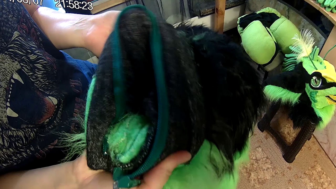 Fursuit Raptor Simuzavr Siberian. Fursuit up.