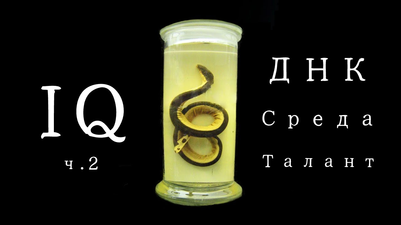 Нейробиология ума и глупости ч.2 [Гены и среда]