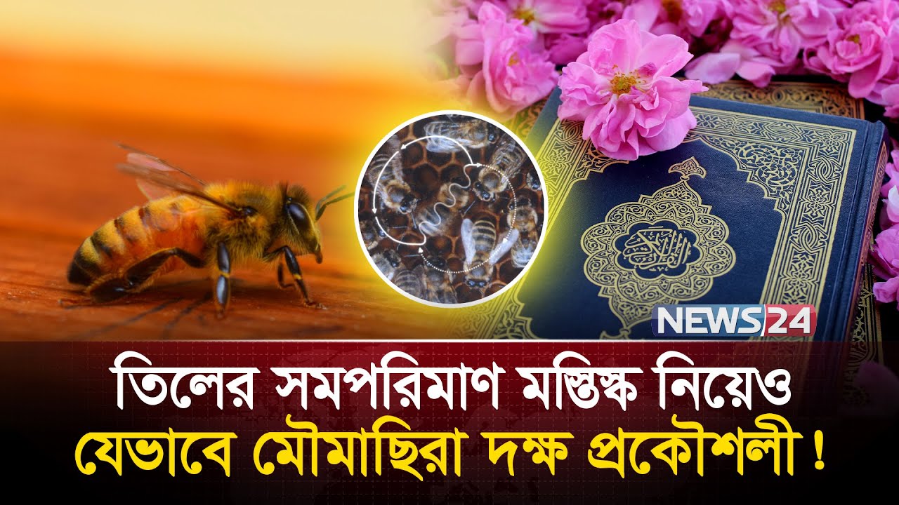 আল্লাহ কেন মৌমাছির কাছ থেকে মানুষকে শিক্ষা নিতে বলেছেন? | Surah An-Nahl |  Islamic News | News24