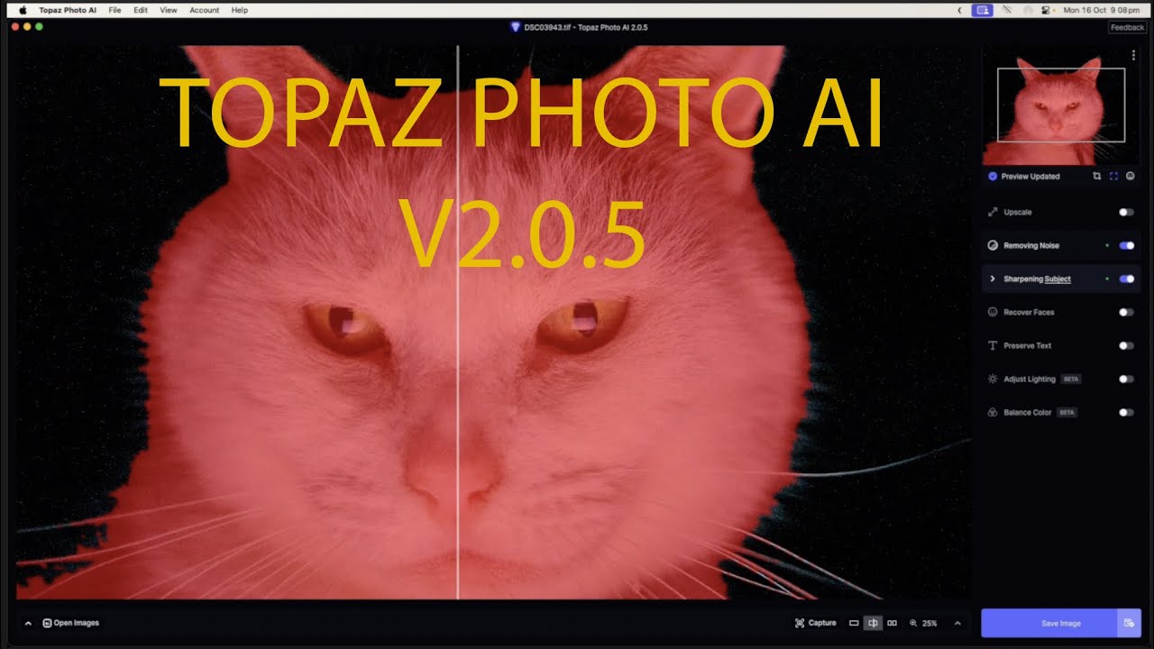 Topaz Photo AI V2.0.5 - DeNoise AI, Sharpen AI, Adjust Lighting and Balance Colour Demo.