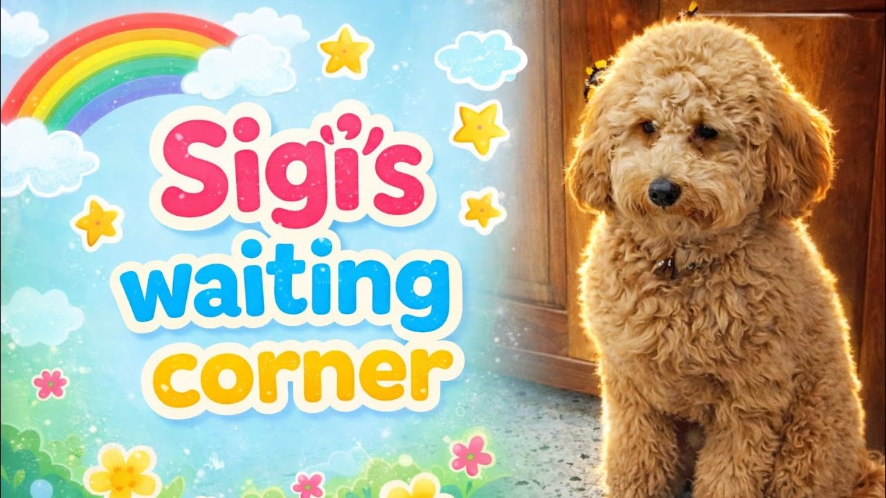 Sigi’s Waiting Corner | A Sweet Little Story for Kids l Mrs Fable 💛