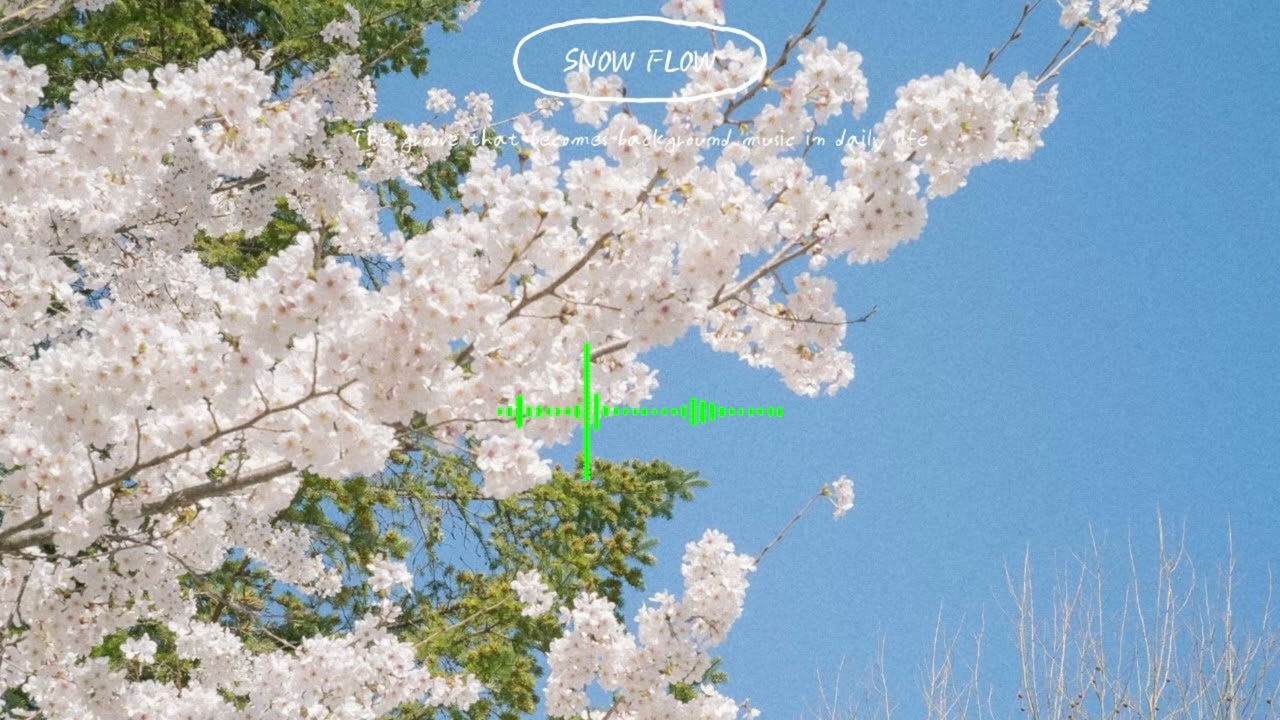 Playlist 듣자마자 기분 좋아지는, 나른한 봄볕 아래 듣기 좋은 감성 플레이리스트🌸일상에 BGM이 되어주는 그루브