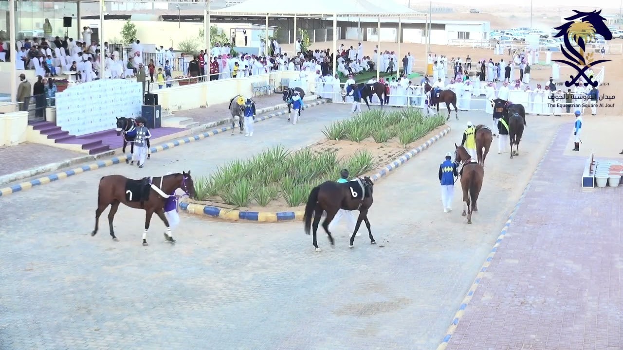 الحفل الأول الشوط الخامس موسم 1445 الفائز بيونق