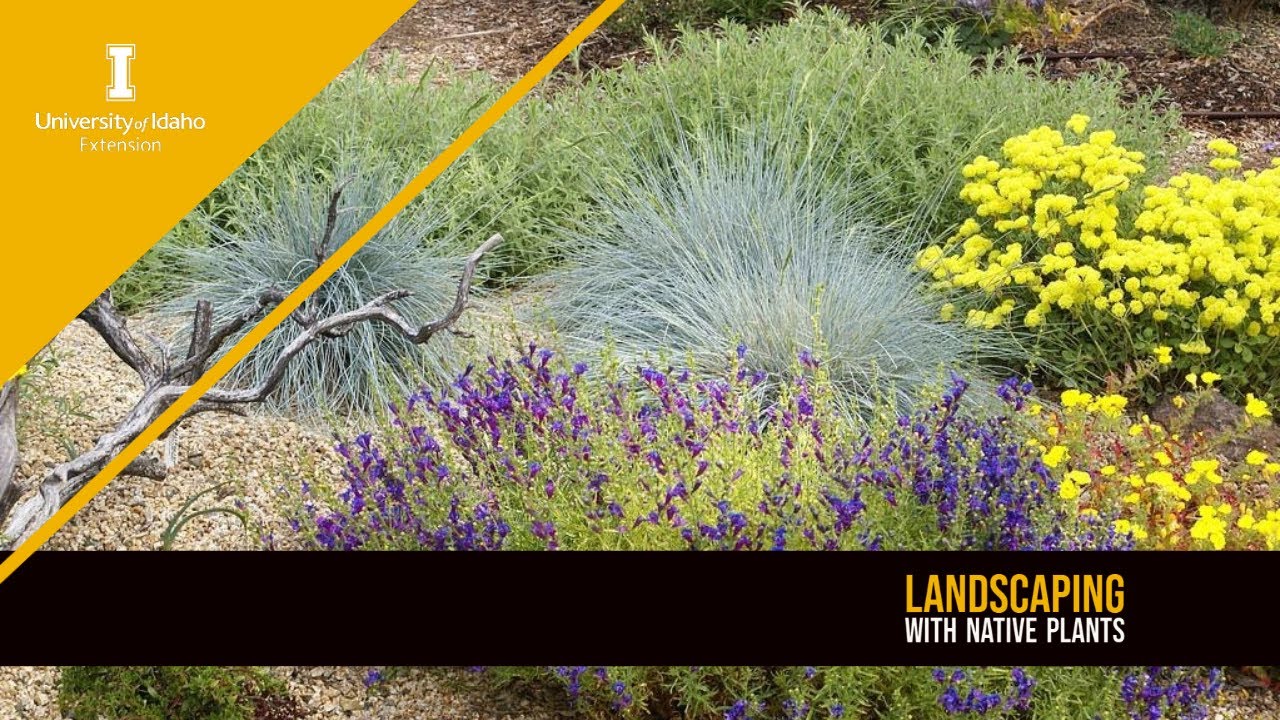 Landscaping with Native Plants