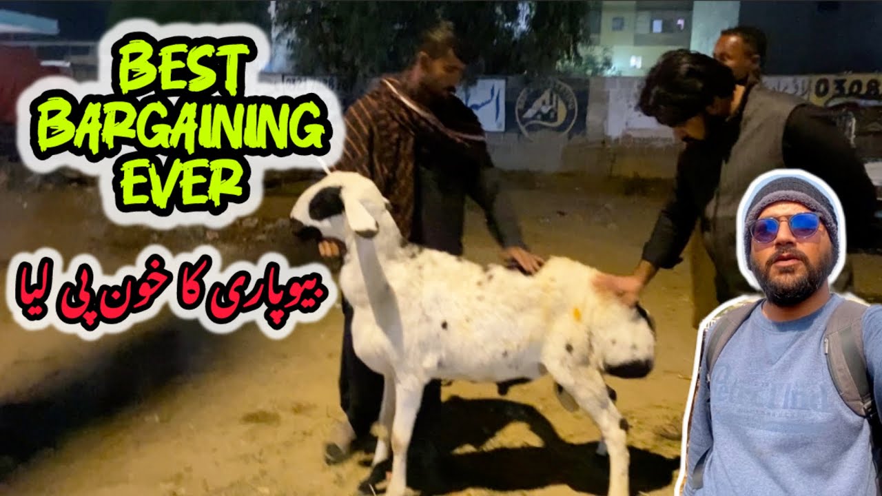 FIRST TIME TURKEY DUMBAY KA SODA KAR LIA 😱‼️ DUSRA GHAR