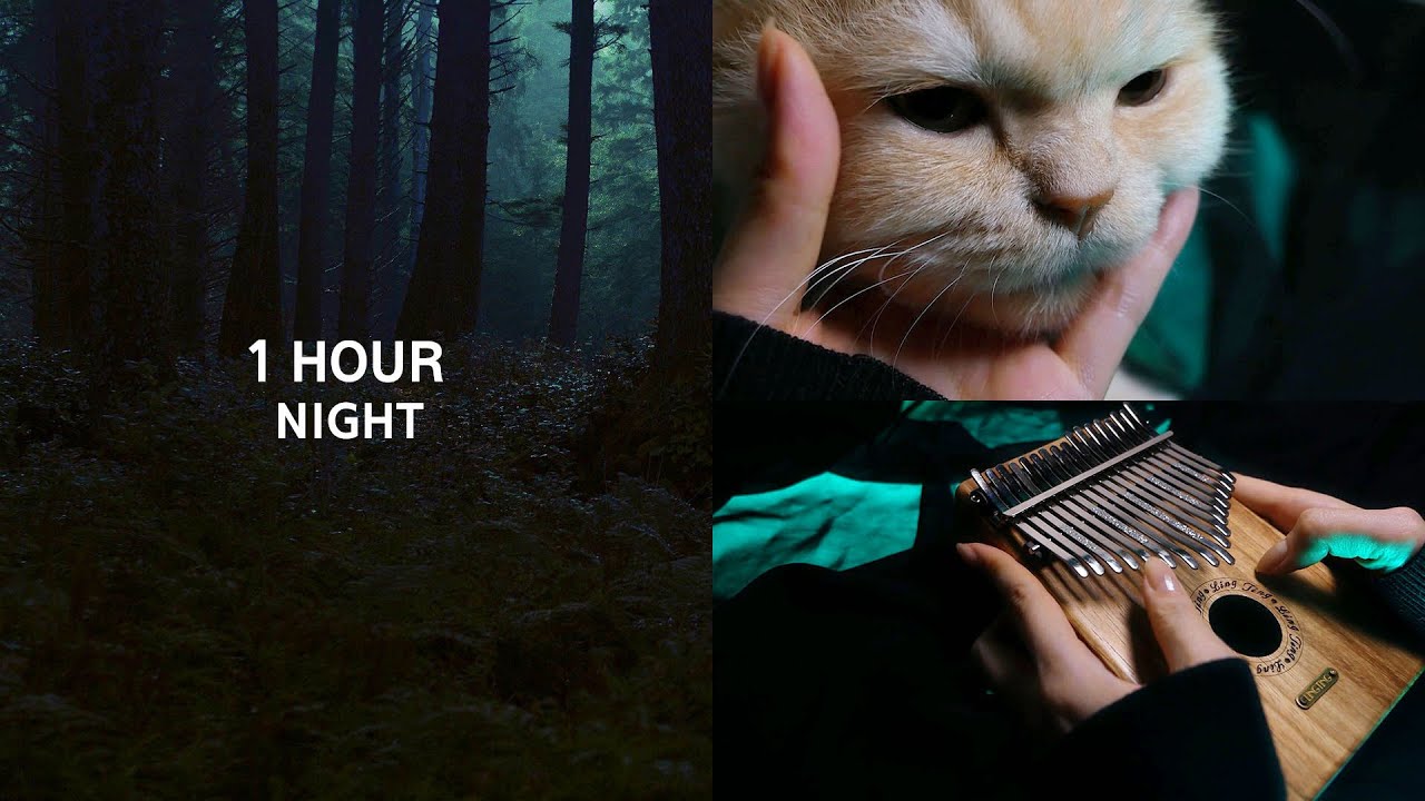 [FOREST AT NIGHT] Skyrim OST, Secunda - 1 Hour Relaxing Kalimba.
