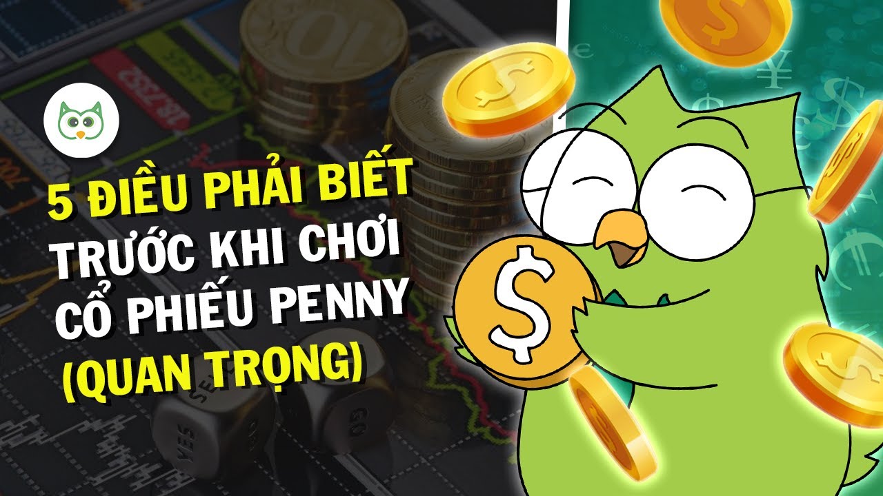 5 Điều Phải Biết Trước Khi Chơi Cổ Phiếu Penny (Quan Trọng) | Trong 1 Trang