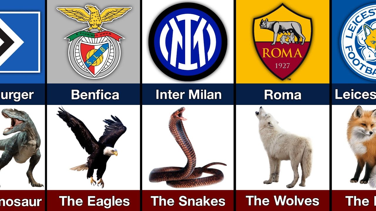 FOOTBALL CLUBS WITH ANIMAL NICKNAMES.
