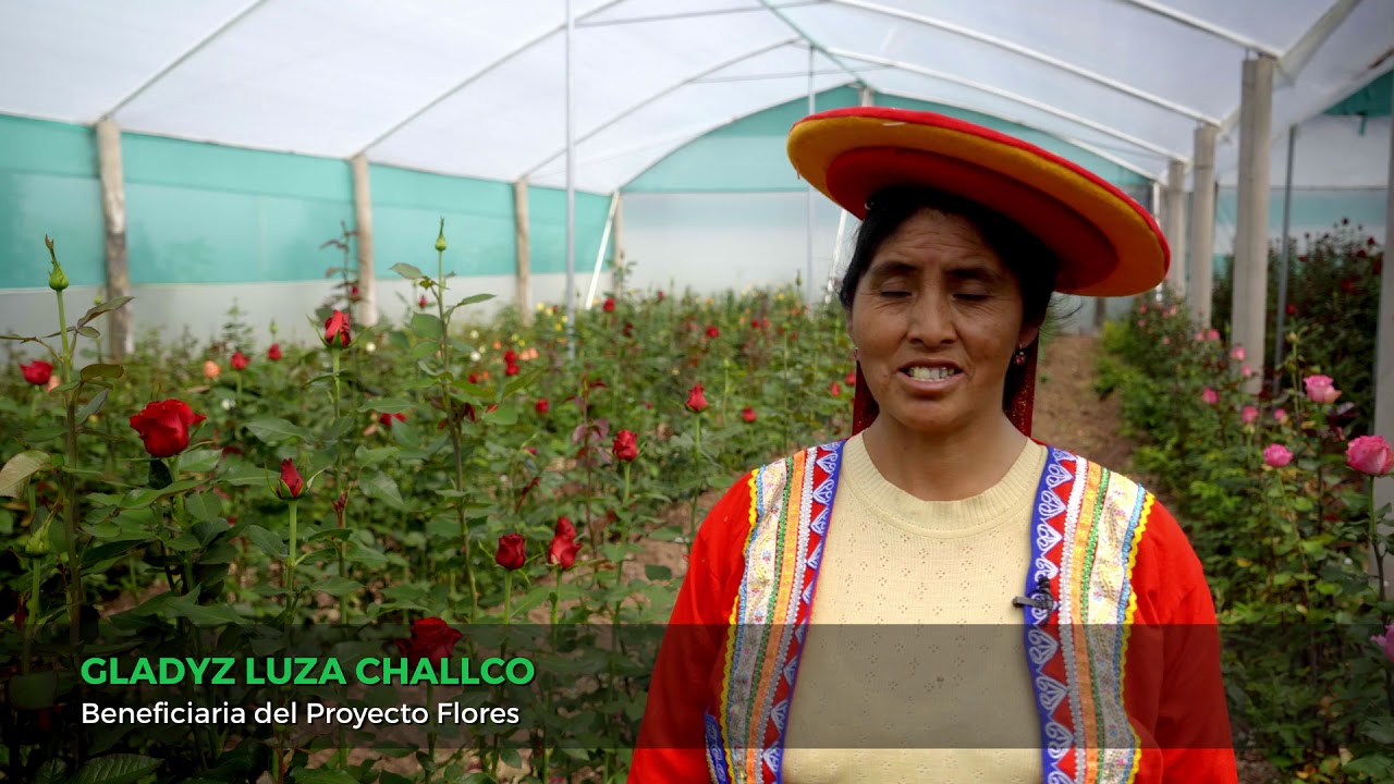 Proyecto de manejo productivo de flores en Cusco
