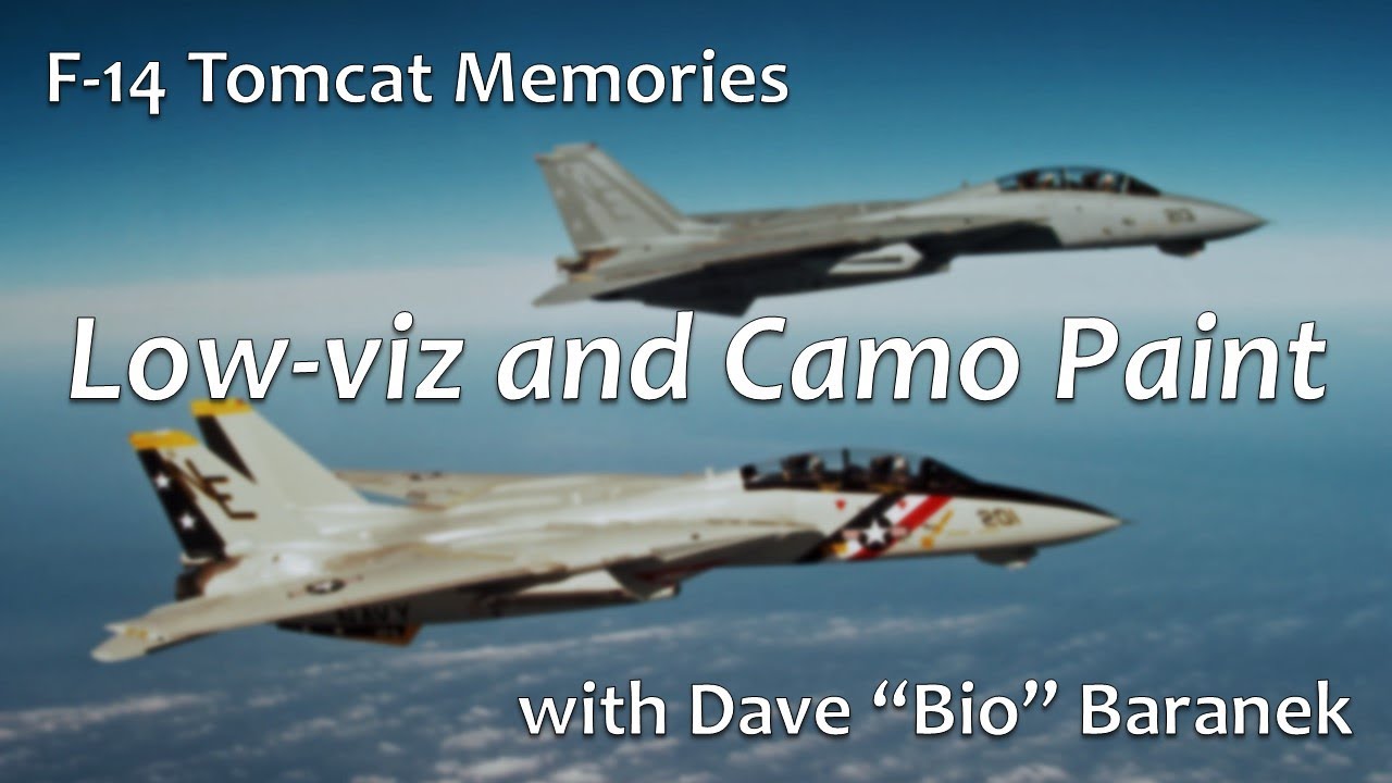 Tomcat Memories 08: Low-viz and Camouflage Paint