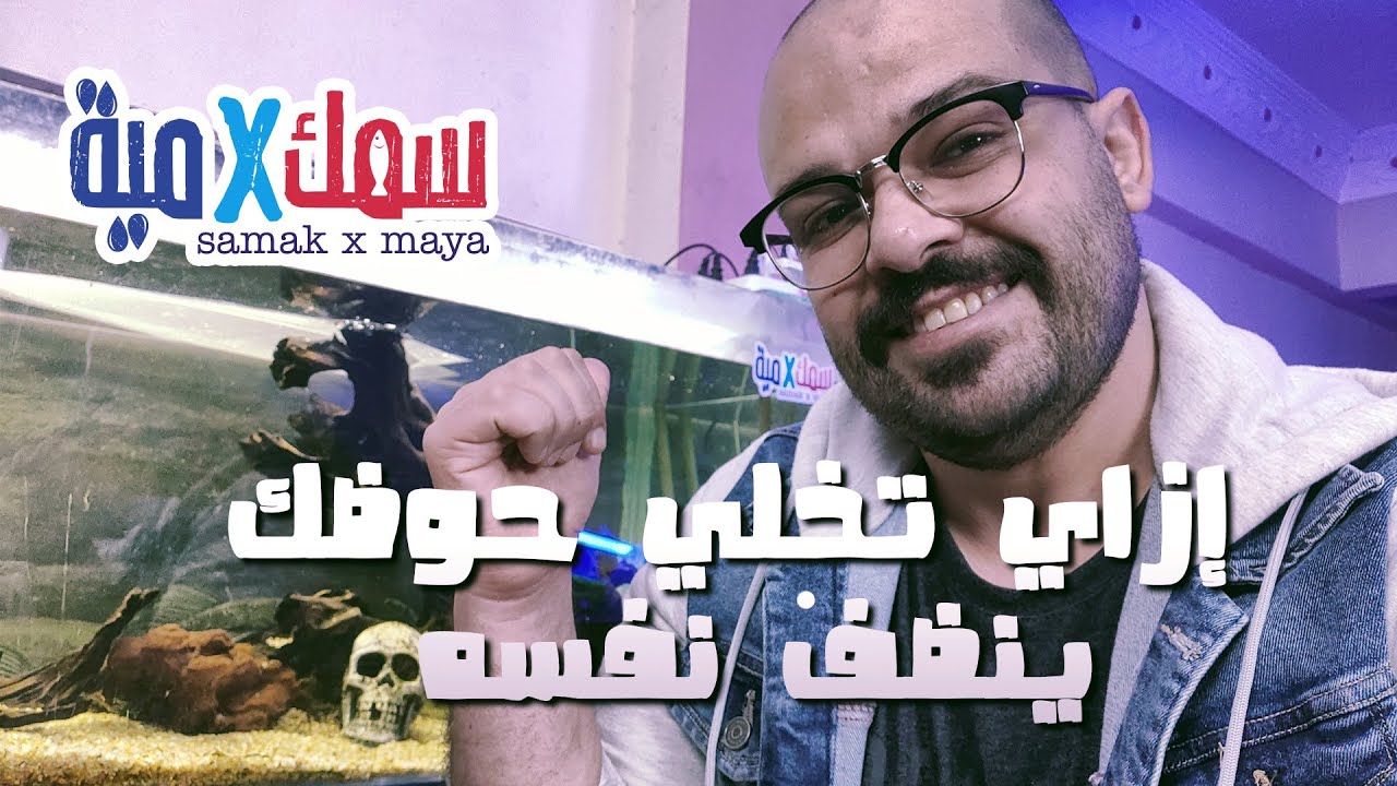 إزاي تخلي حوضك ينضف نفسه - حوض ذاتي التنظيف #سمك_في_مية