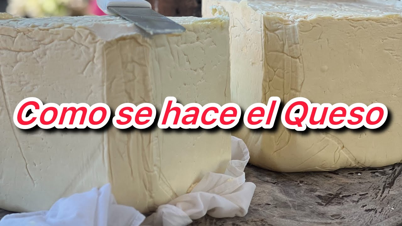 Cómo se hace el Queso