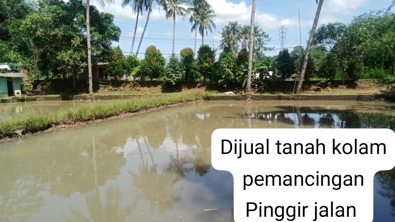 Dijual tanah Kolam ikan pinggir jalan. Info hub. 087809965332 / Yudi