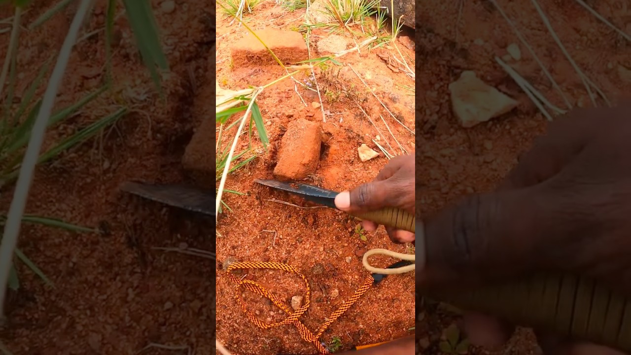 metal detecting😳 #treasuresearch #metaldetecting #goldmurshi  #treasure #kerala #india #malayalam