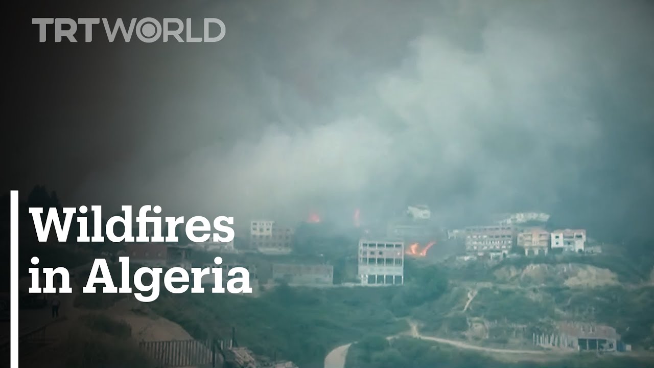 Wildfires in Algeria kill 42 people, including 25 soldiers