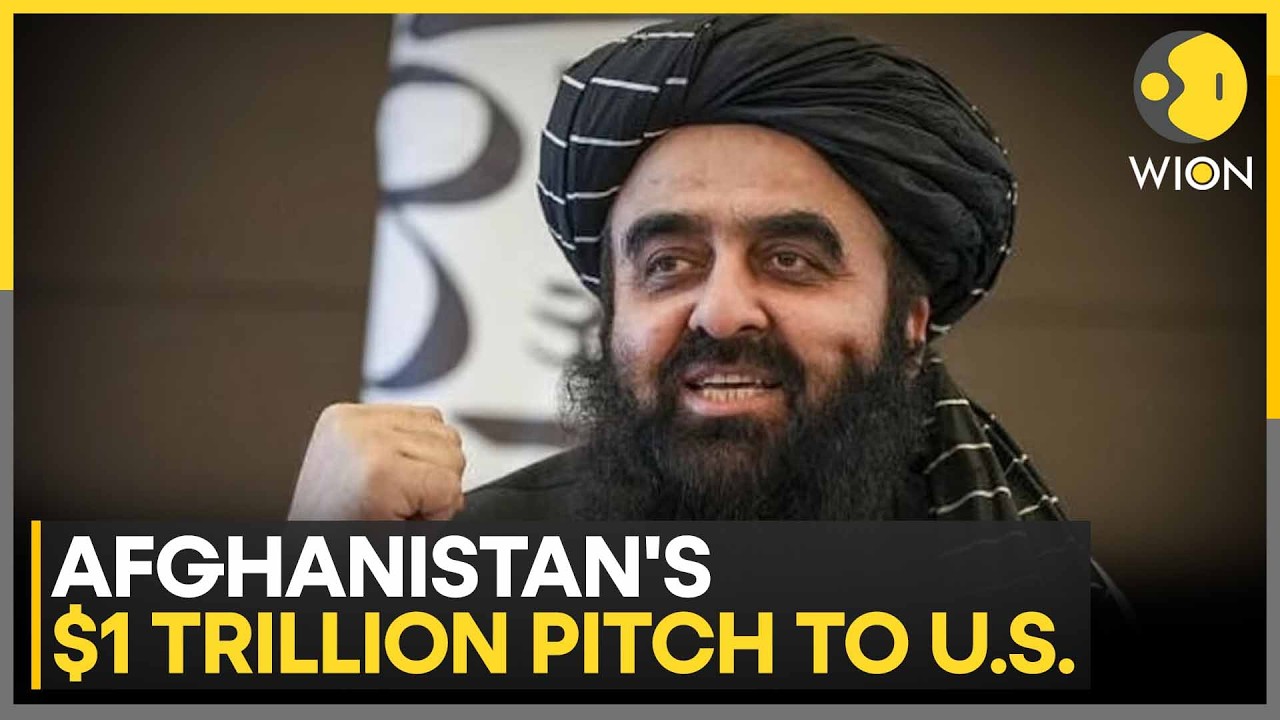 Afghanistan's Taliban Pitches $1 Trillion In Mineral Wealth To US Investors | WION