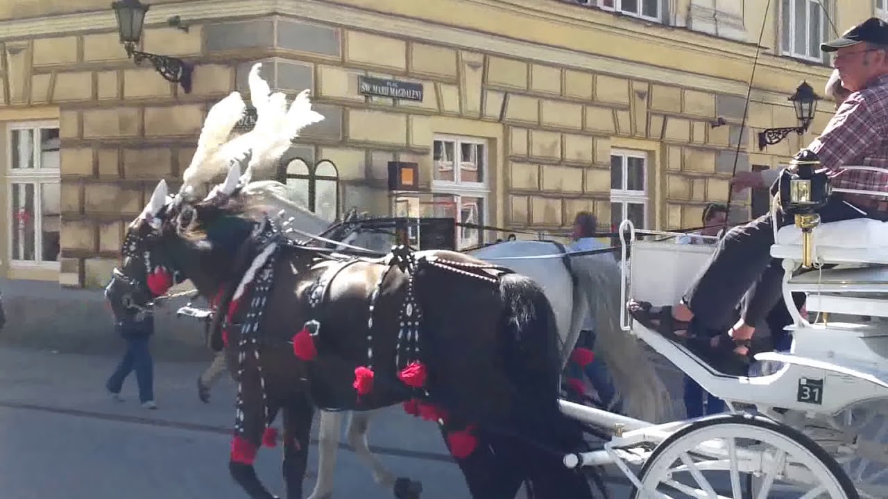 Niesamowity Akordeon na Rynku w Krakowie.Piękne. the Best Accordion in the World