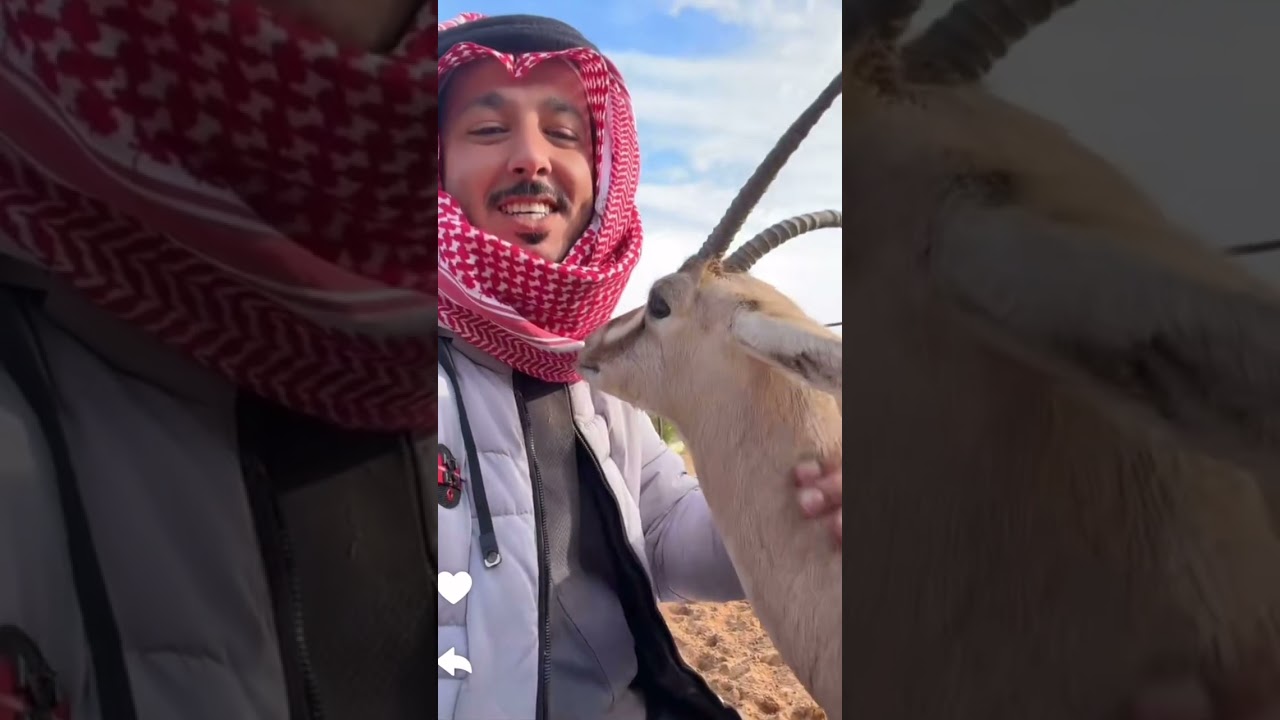 تذكار مات / سنابات ابو ناصر
