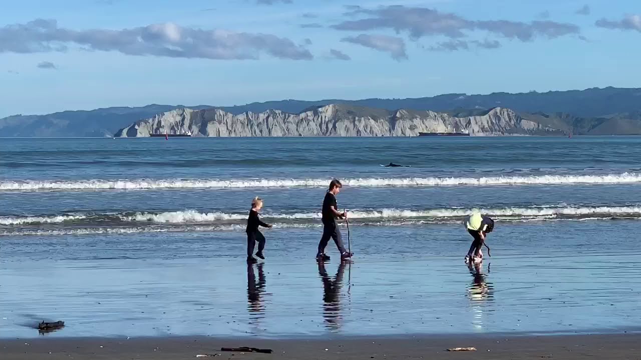 Gisborne Travel Vlog