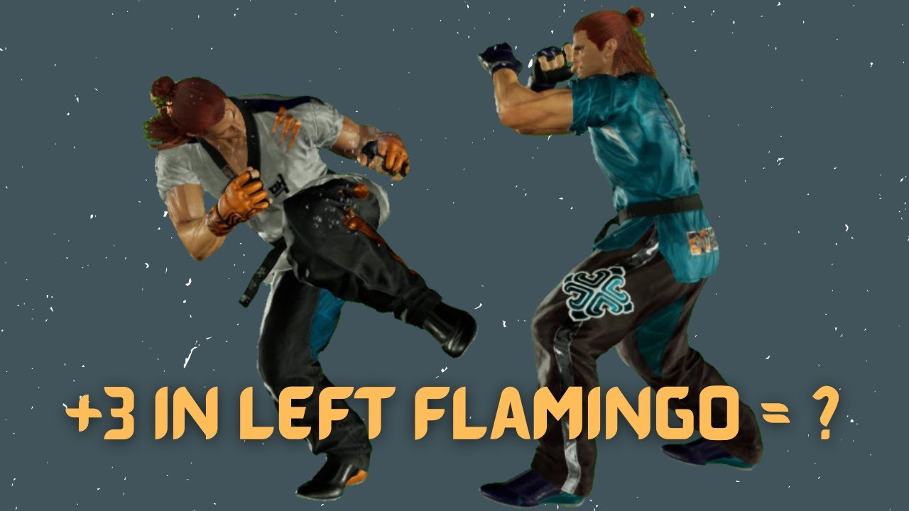Hwoarang's Flamingo Frames Explained-ish
