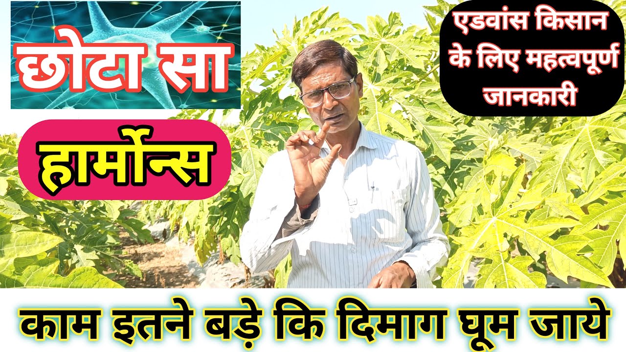 पौधे की ग्रोथ फल की साइज फूलों आना मनमुताबिक कम या ज्यादा करना ...