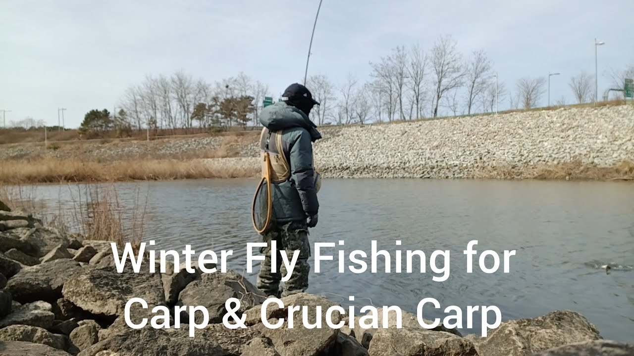 Winter Fly Fishing for Carp & Crucian Carp