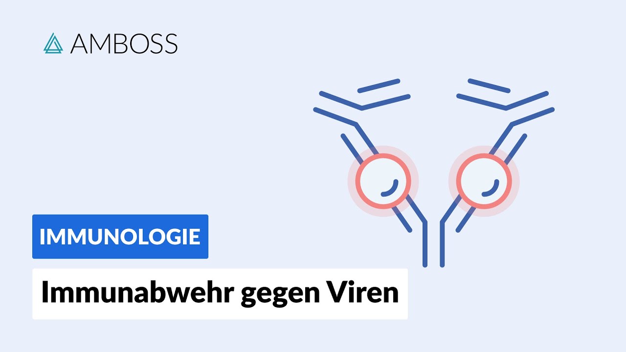 Immunabwehr gegen Viren -- Immunologie -- AMBOSS Video