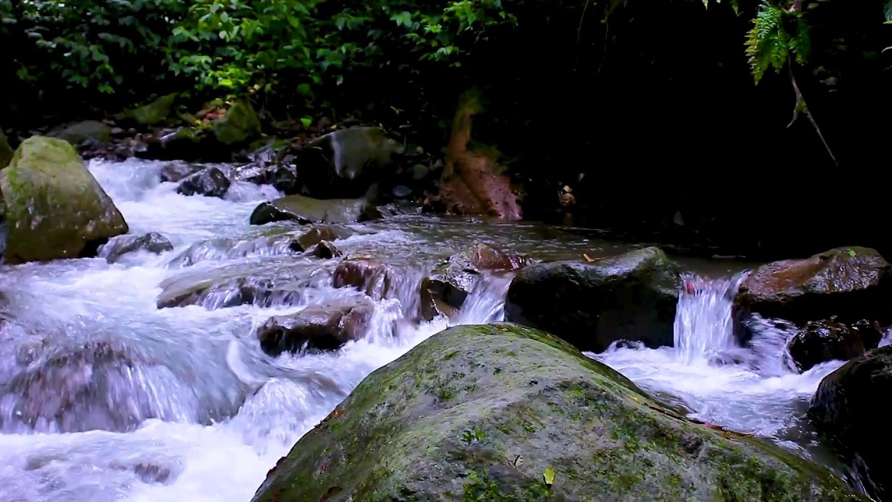 River Flow for Overthinking Minds | Deep Sleep White Noise Therapy at Night