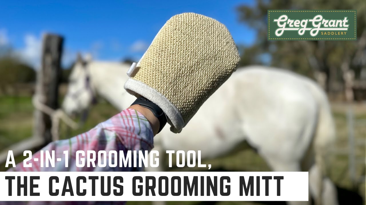 A 2-in-1 Grooming Tool, the Cactus Grooming Mitt - Greg Grant Saddlery