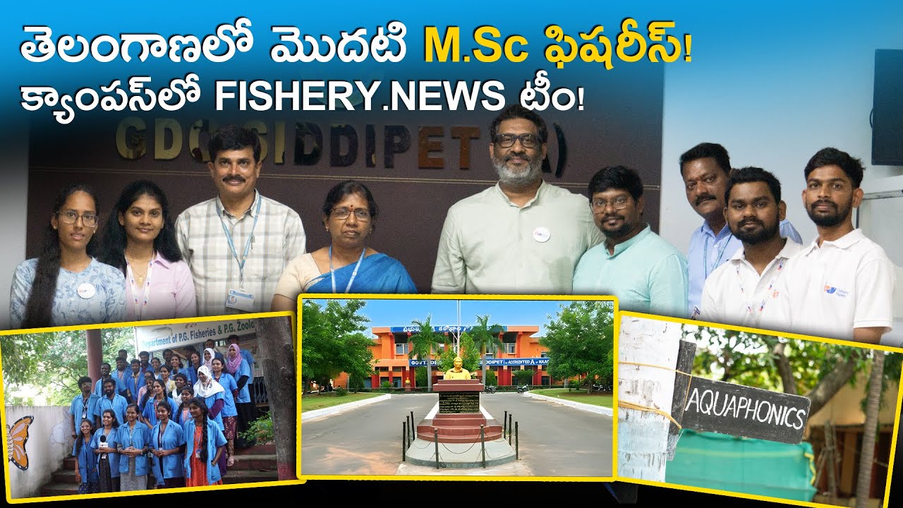 Promo : A Day In Fisheries College | Govt Degree College Siddipet | Fishery News Telugu