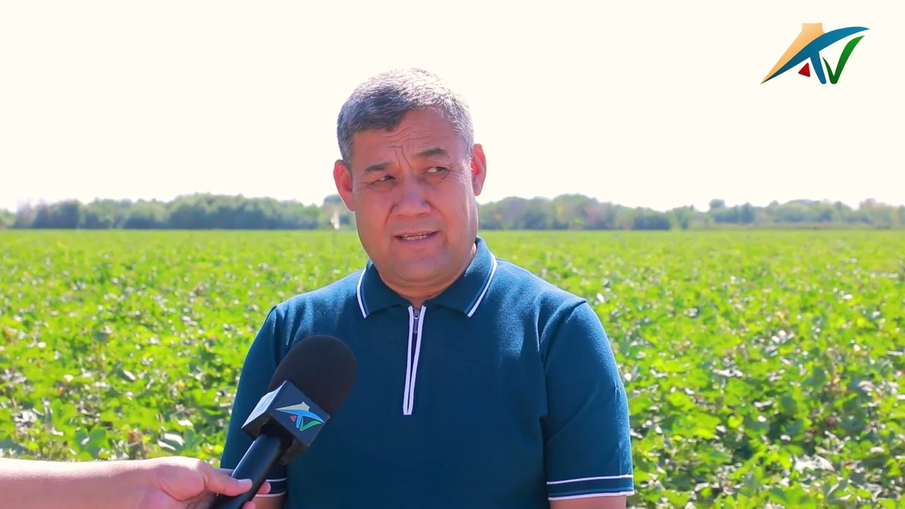 Пахта уруғчилиги бўйича республика семинарига Амударё тумани мезбонлик қилди