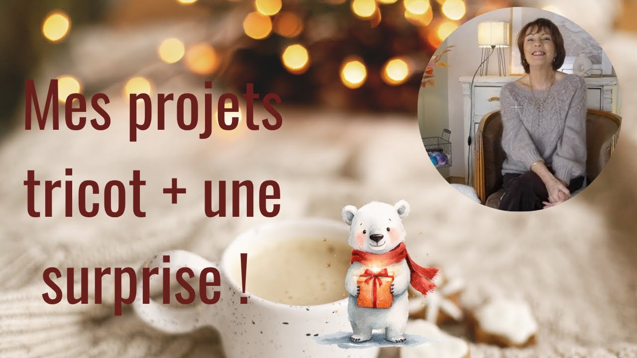 🌟 Vlog Tricot : Mes avancées + Une Box de Noël exclusive arrive bientôt ! 🎄✨🎄