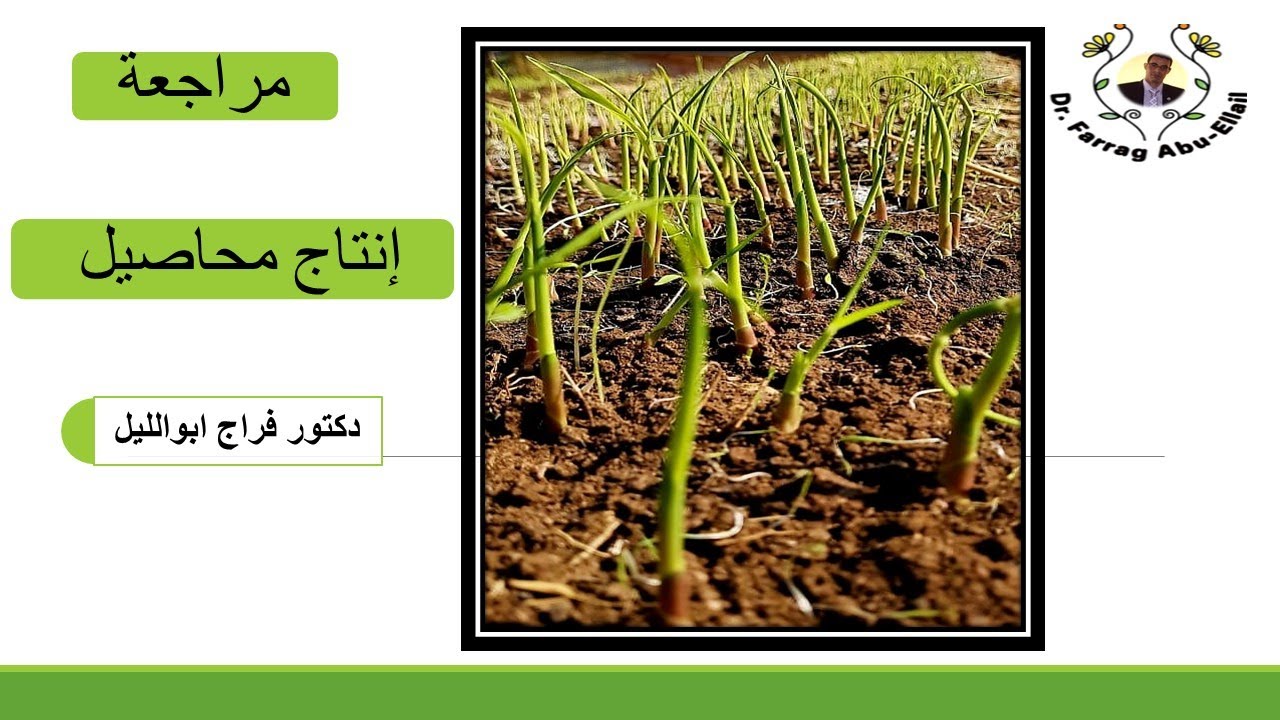 مراجعة مادة إنتاج المحاصيل/مراجعة كل الصور والأشكال وأساليب الإمتحانات