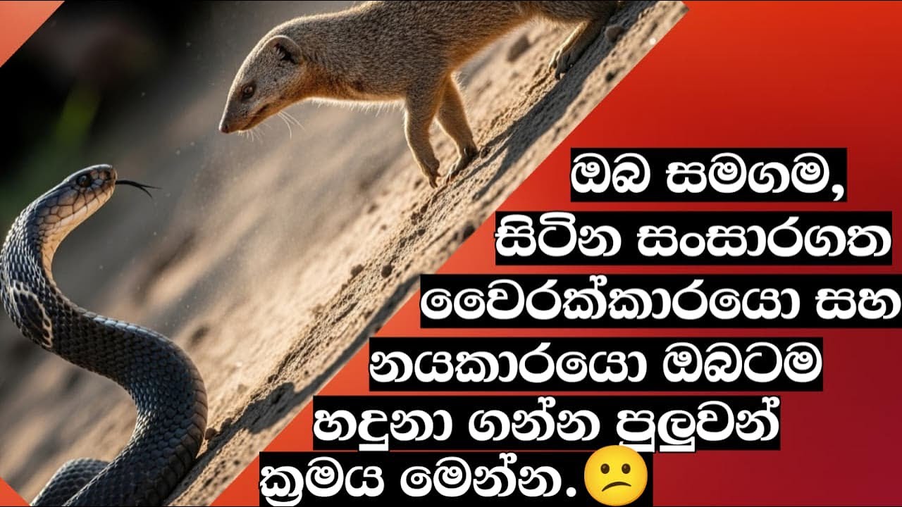 #ඔබ සමගම,සිටින #සංසාරගත වෛරක්කාරයෝ සහ #නයකාරයො ඔබටම හදුනා   ගන්න පුළුවන් # ක්‍රමය මෙන්න.@Etherasita