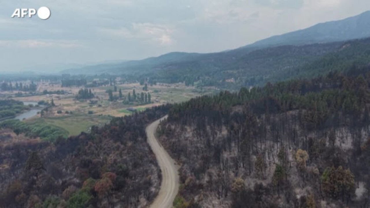Si aggrava l'emergenza incendi in Patagonia, a fuoco 230 mila ettari