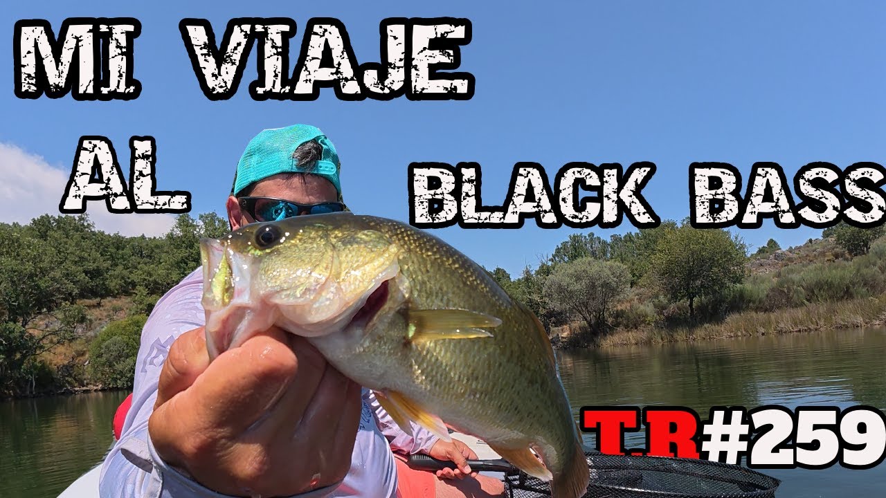 ⚠️MI VIAJE DE PESCA AL BLACK BASS 👈/Pesco black bass por primera vez en mi vida🎣