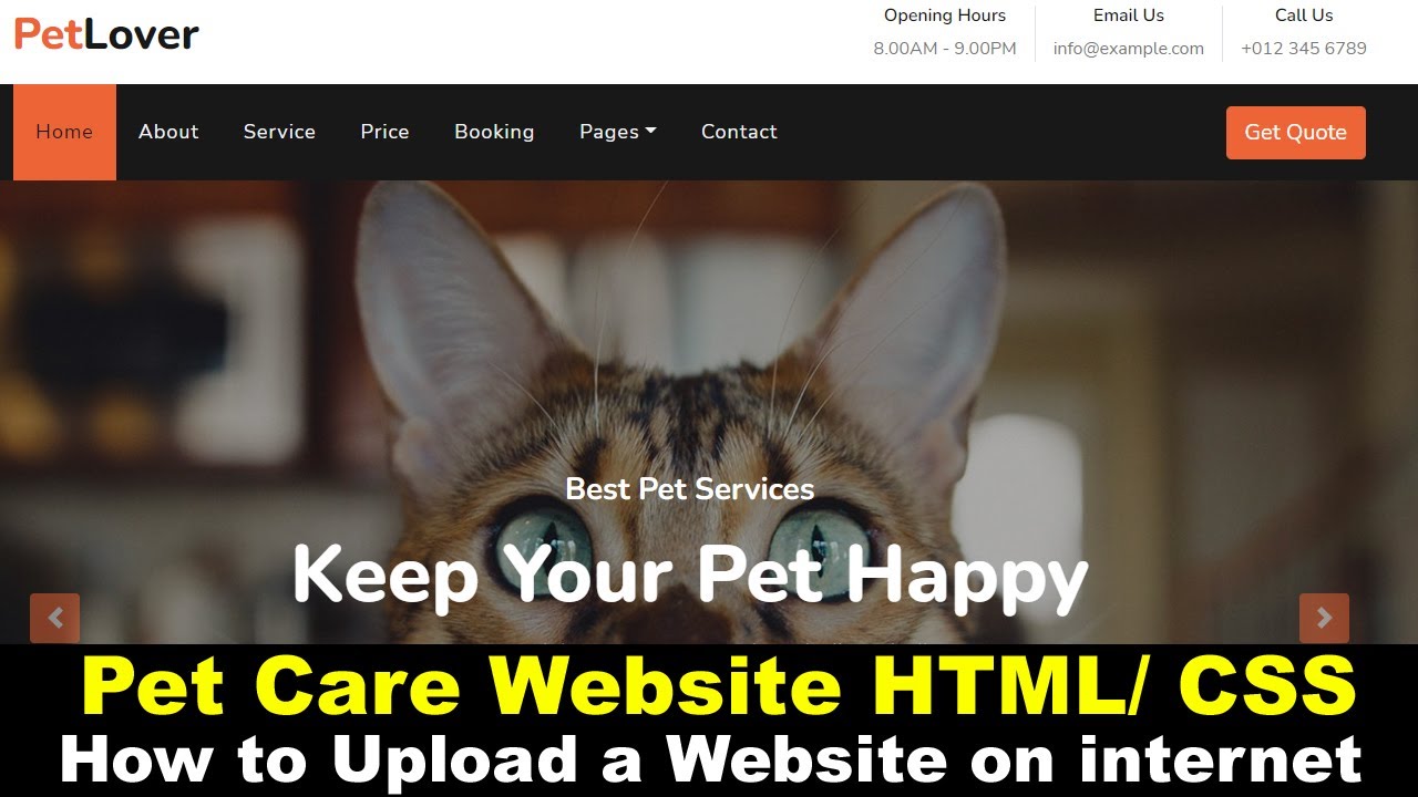 Pet Care Website HTML/ CSS | How to upload a website online on the internet, Shared Web Hosting
