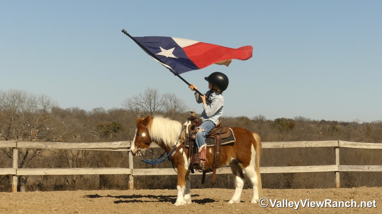 Pickles - ponying with bike, jumping, carrying flag! - @ValleyViewRanch