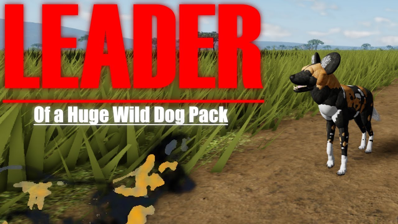 Being the Leader of a Huge Wild Dog Pack - Wild Savanna