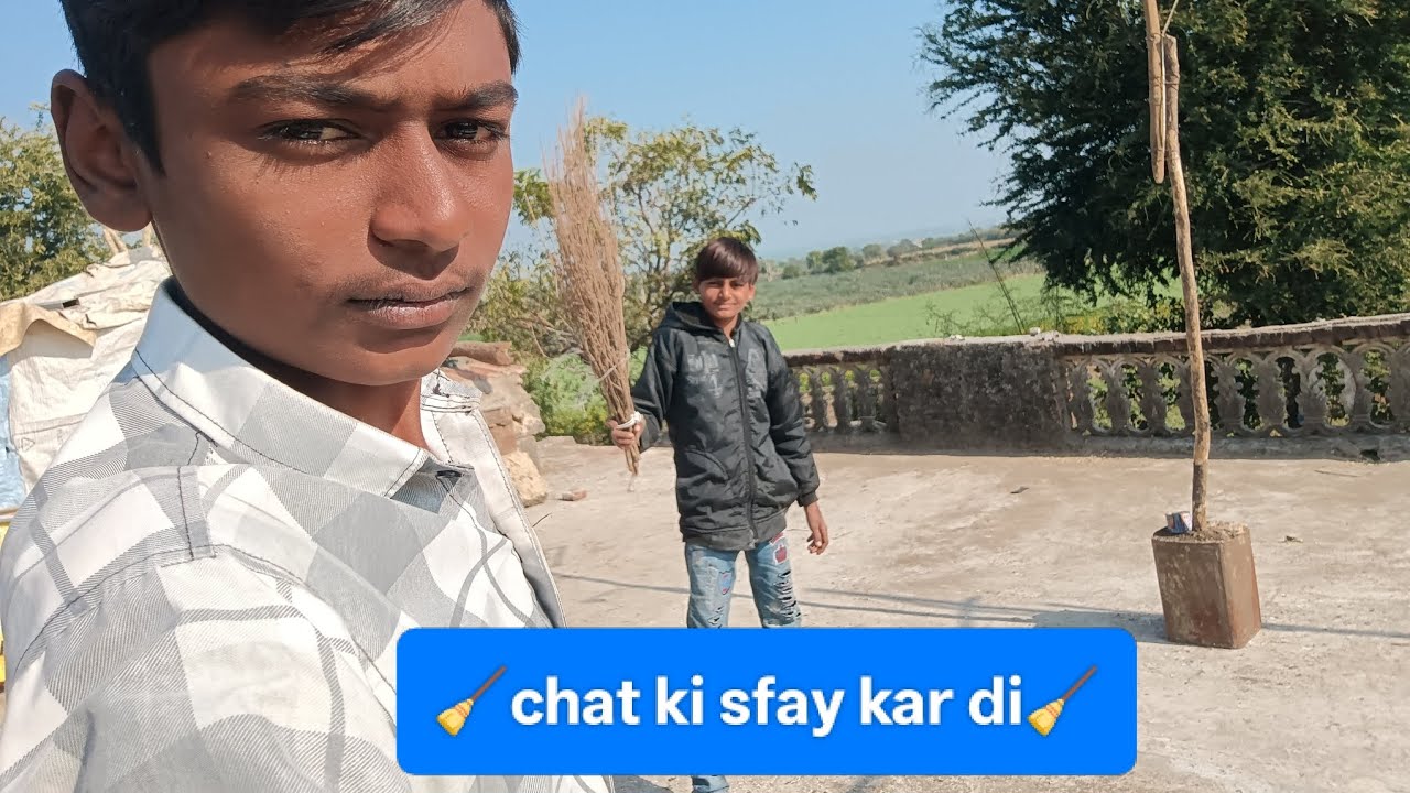 कबूतरों के लिए बनाया सपनों का महल! ✨🕊️ आज पूरी छत साफ़ कर दी! 💪🧹