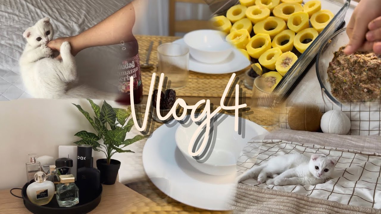 Kedi sahiplendim! 🐾 | Kedime yaptığım alışveriş | iftarda patates dolması ve ayran çorbası yaptım😋