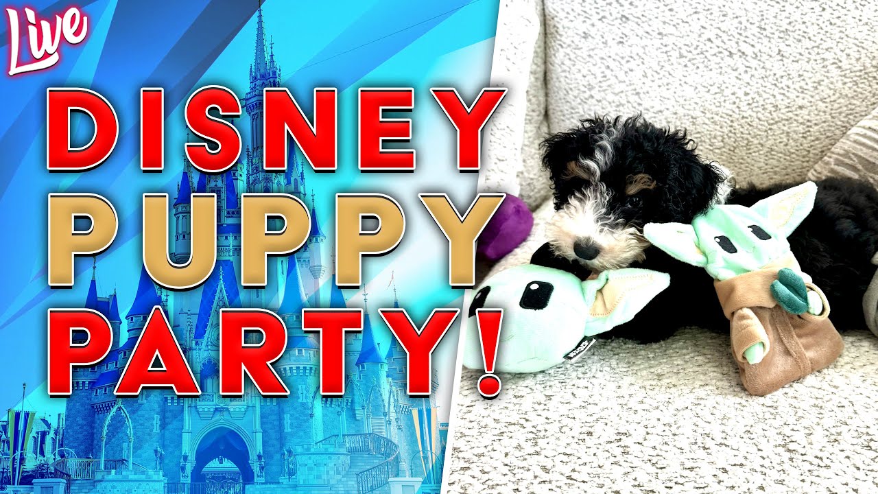 🔴LIVE: What was supposed to be a halloween party but turned into a disney doggie party lol
