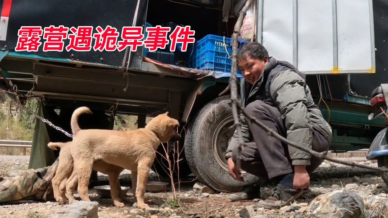 电动三轮车骑行西藏，露营遇诡异事件，被迫夜骑100公里逃命！【电动三轮户外探宝旅行】